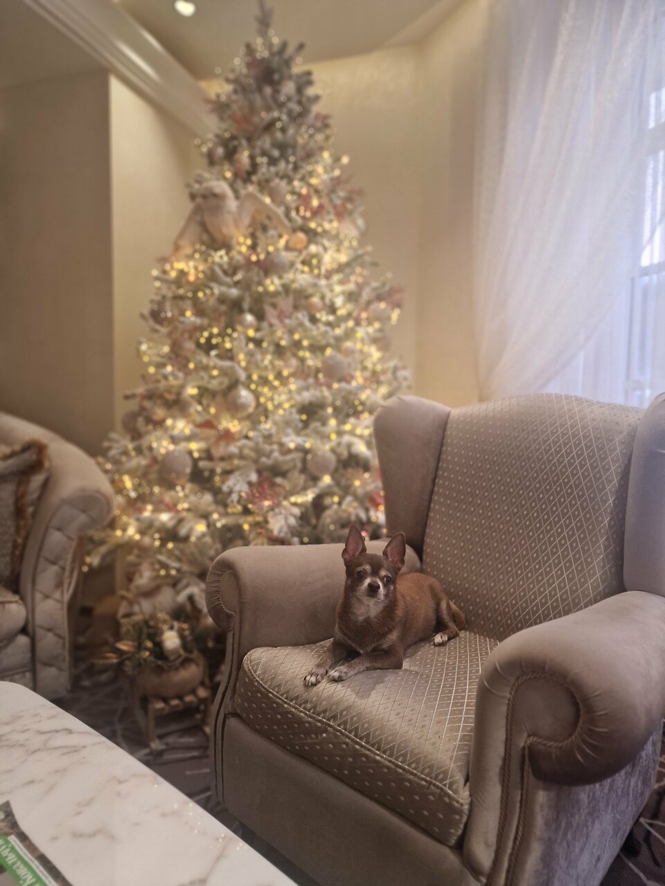 Санаторий Эдем Белокуриха-112