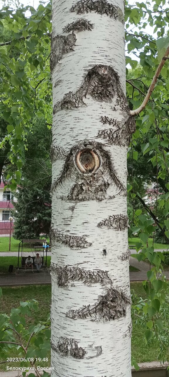 Санаторий Эдем Белокуриха-109