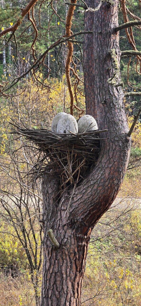 Санаторий Эдем Белокуриха-133