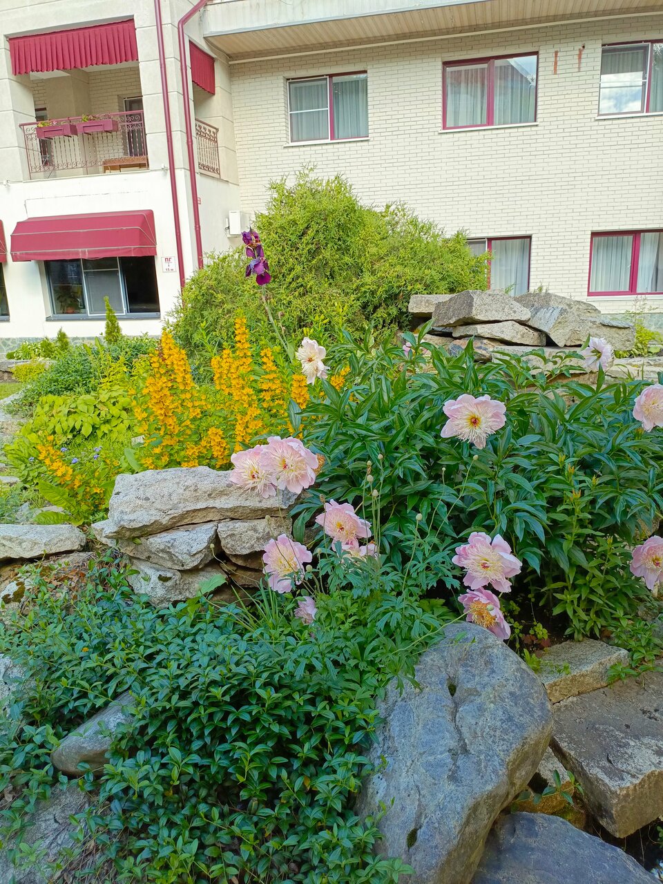 Санаторий Эдем Белокуриха-101