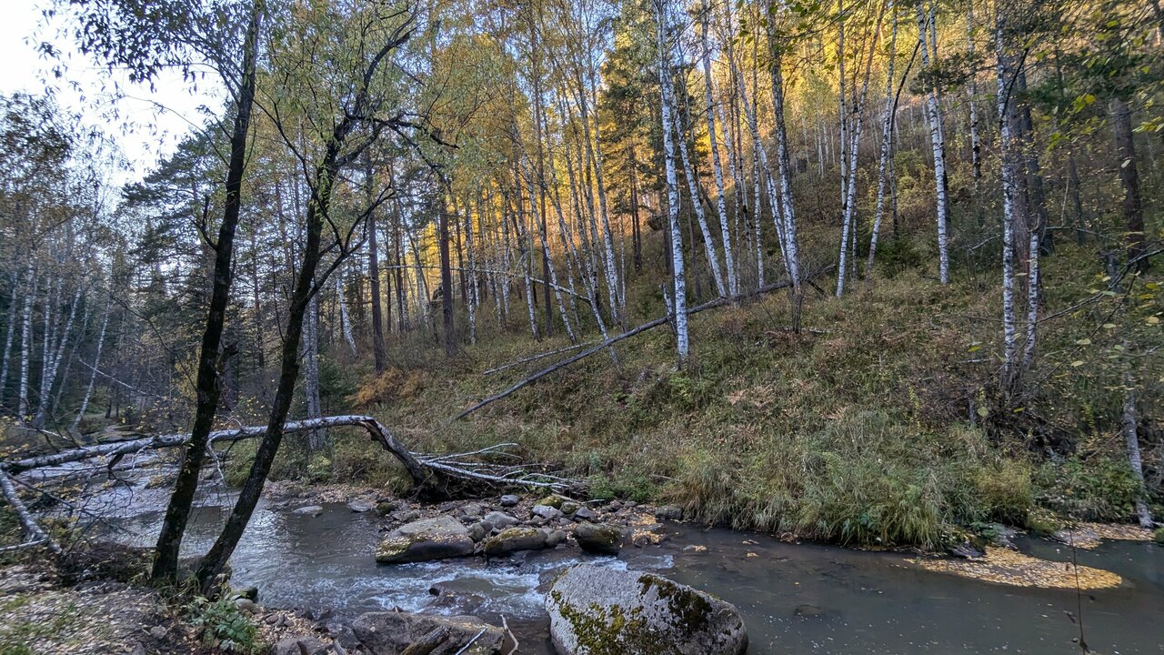 Санаторий Эдем Белокуриха-77
