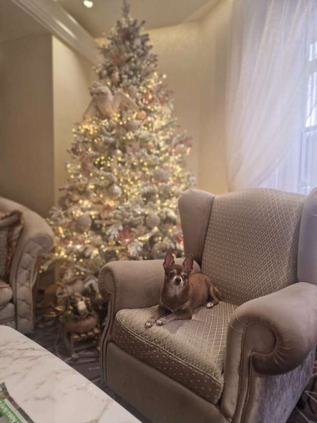 Санаторий Эдем Белокуриха-111