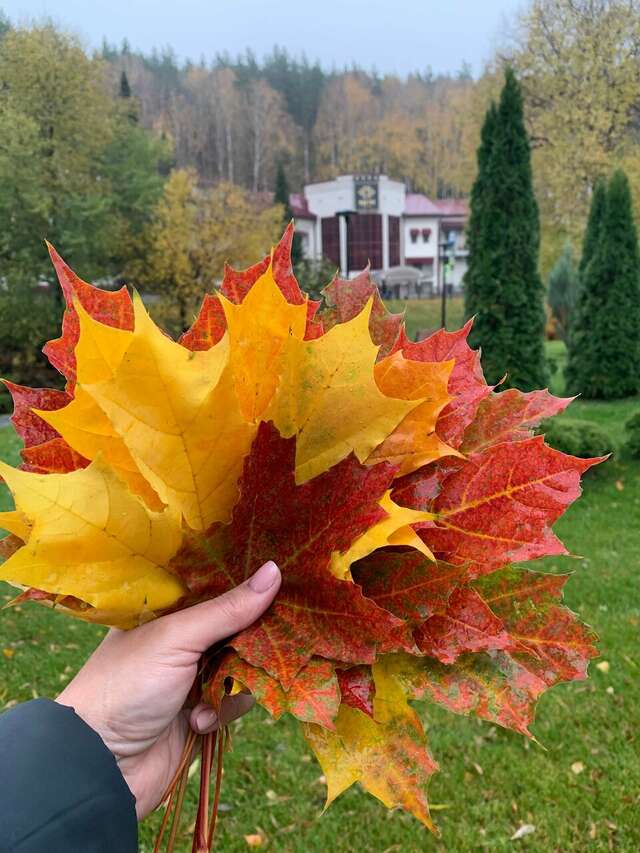 Санаторий Эдем Белокуриха-83