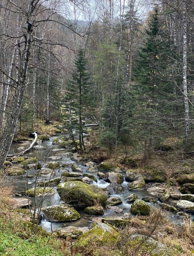 Санаторий Эдем Белокуриха-235