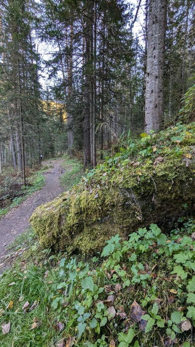 Санаторий Эдем Белокуриха-238